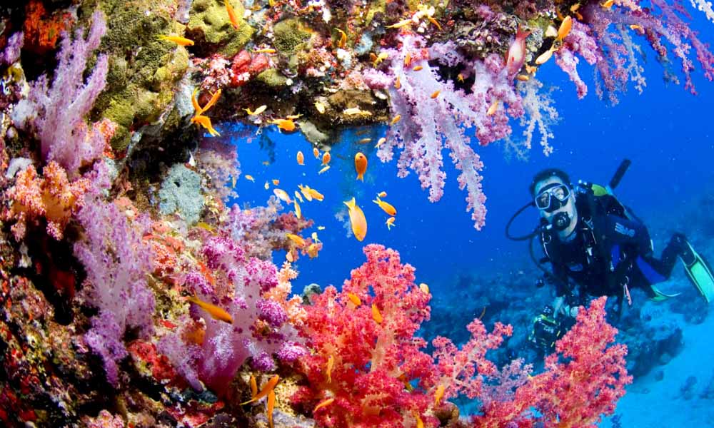 https://mdw-travel-data-us-east-1.s3.amazonaws.com/img/country/Philippines/Tubbataha-Reefs-Natural-Park/img_00.jpg