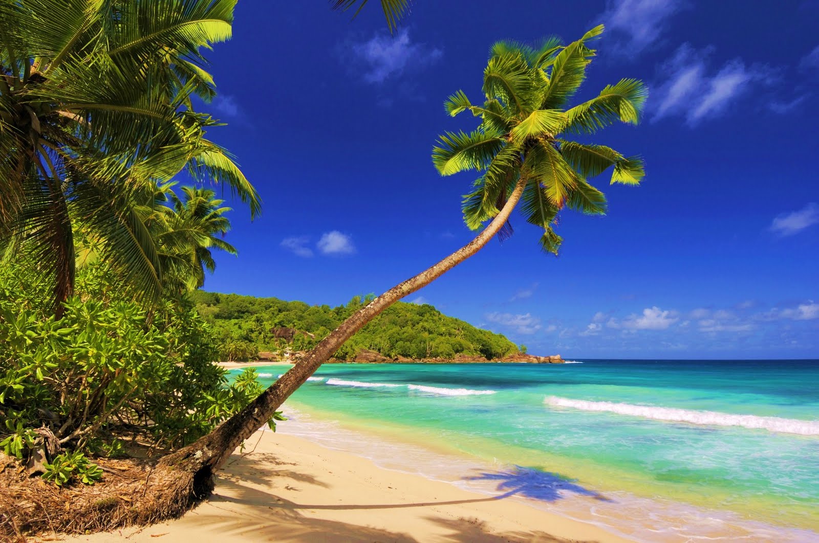https://mdw-travel-data-us-east-1.s3.amazonaws.com/img/country/Philippines/White-Beach/img_01.jpg