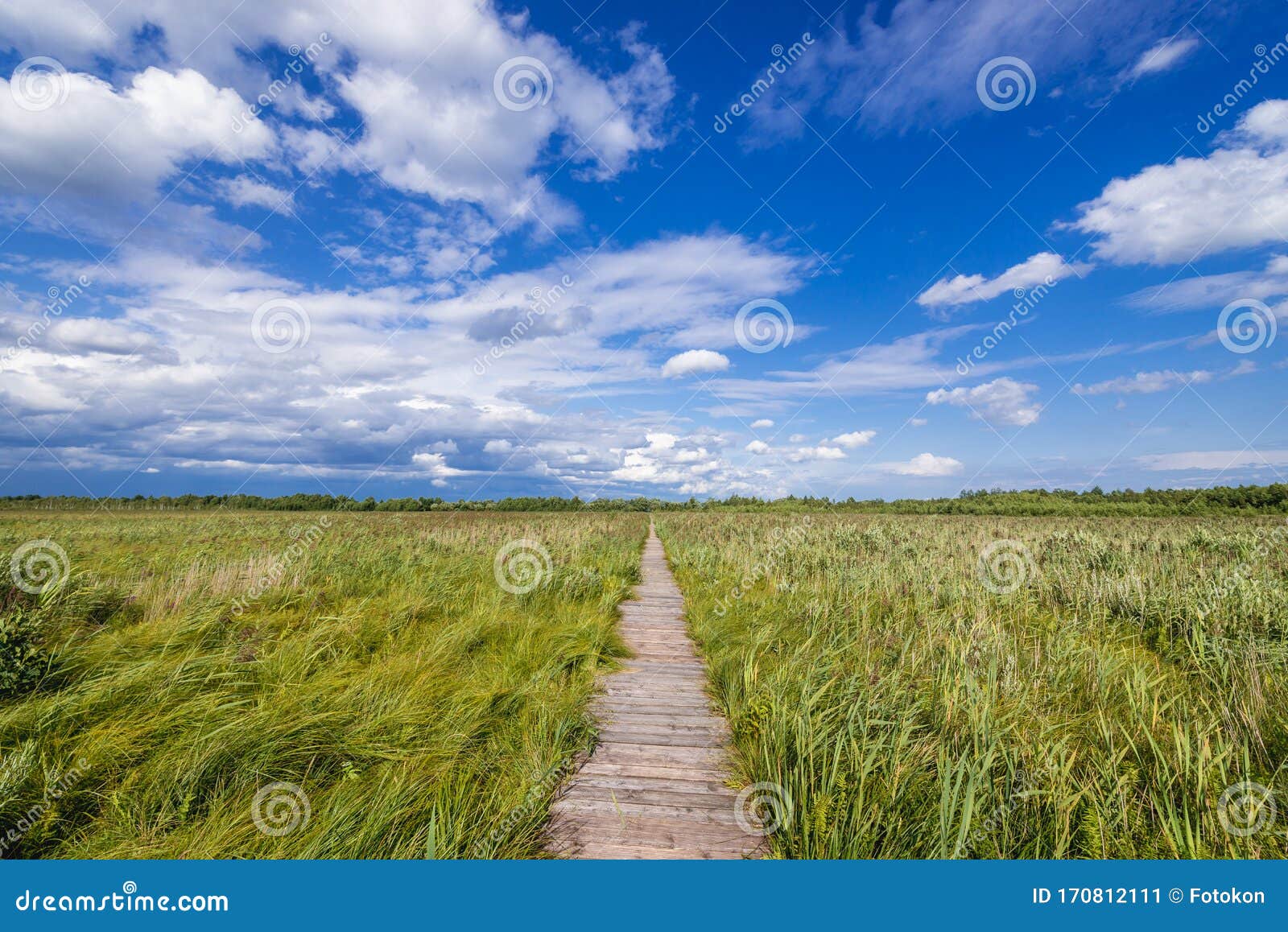 https://mdw-travel-data-us-east-1.s3.amazonaws.com/img/country/Poland/Biebrza-National-Park/img_01.jpg