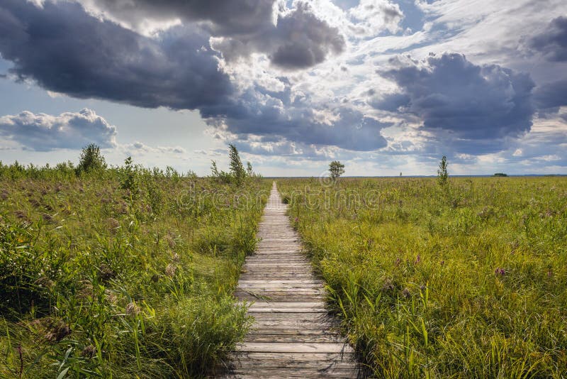 https://mdw-travel-data-us-east-1.s3.amazonaws.com/img/country/Poland/Biebrza-National-Park/img_03.jpg