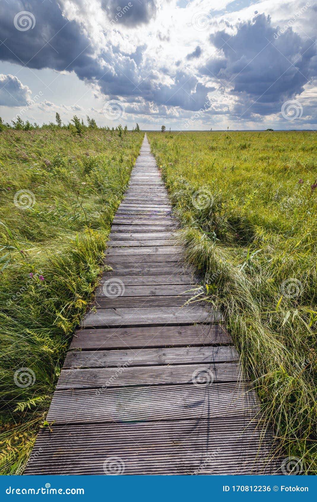 https://mdw-travel-data-us-east-1.s3.amazonaws.com/img/country/Poland/Biebrza-River/img_03.jpg