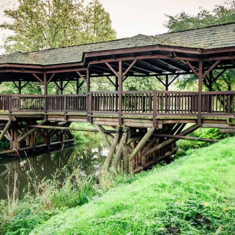 https://mdw-travel-data-us-east-1.s3.amazonaws.com/img/country/Poland/Bielanski-Forest/img_02.jpg