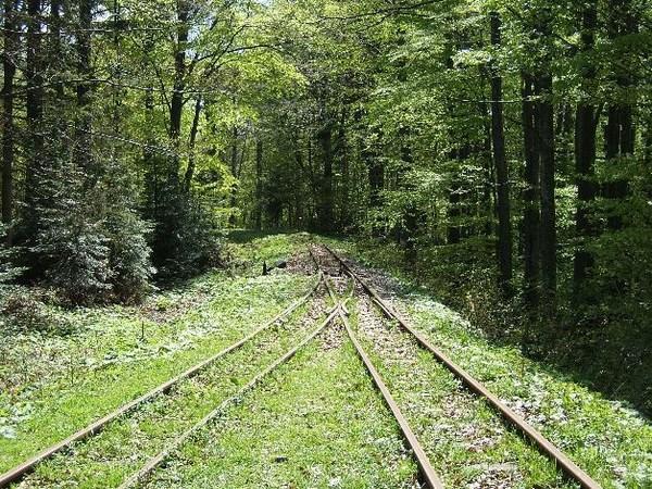 https://mdw-travel-data-us-east-1.s3.amazonaws.com/img/country/Poland/Bieszczady-Forest-Railway/img_01.jpg