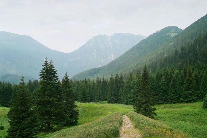 https://mdw-travel-data-us-east-1.s3.amazonaws.com/img/country/Poland/Dolina-Noteci-Landscape-Park/img_01.jpg