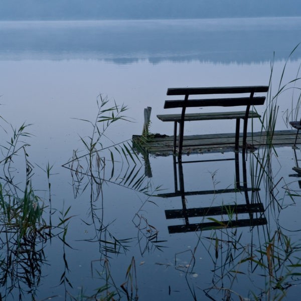 https://mdw-travel-data-us-east-1.s3.amazonaws.com/img/country/Poland/Drawa-National-Park/img_01.jpg