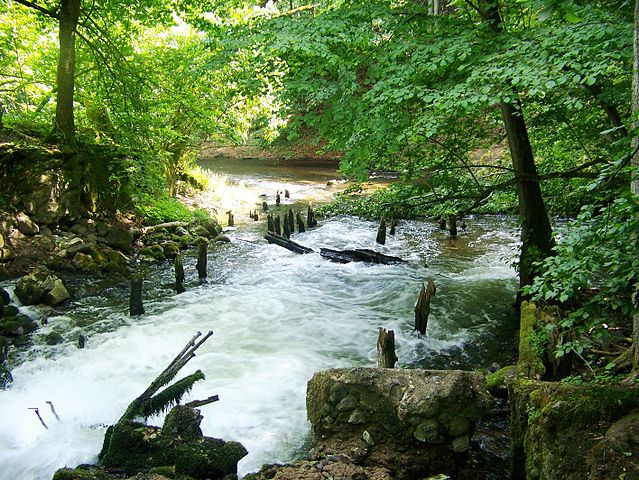 https://mdw-travel-data-us-east-1.s3.amazonaws.com/img/country/Poland/Drawa-National-Park/img_02.jpg