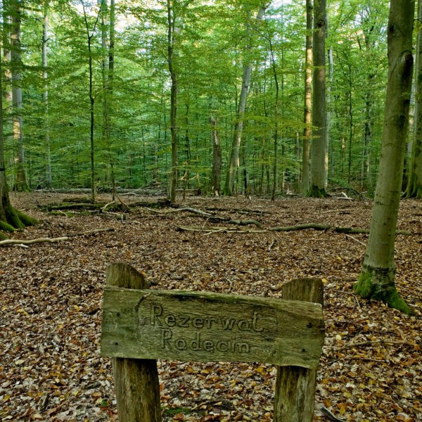 https://mdw-travel-data-us-east-1.s3.amazonaws.com/img/country/Poland/Drawa-National-Park/img_03.jpg