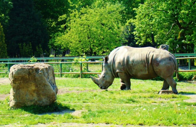 https://mdw-travel-data-us-east-1.s3.amazonaws.com/img/country/Poland/Gdansk-Zoo/img_00.jpg