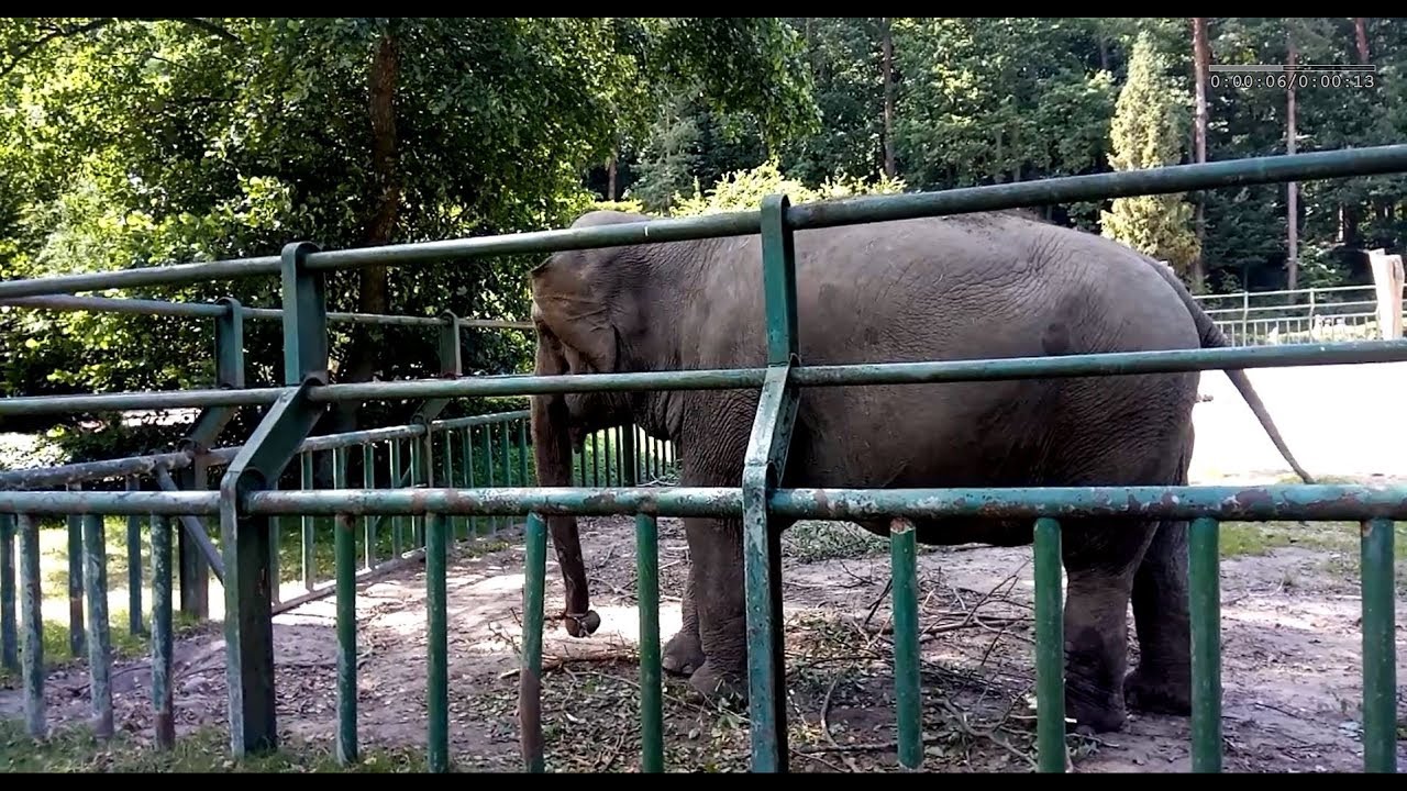 https://mdw-travel-data-us-east-1.s3.amazonaws.com/img/country/Poland/Gdansk-Zoo/img_02.jpg