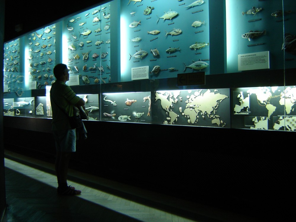https://mdw-travel-data-us-east-1.s3.amazonaws.com/img/country/Poland/Gdynia-Aquarium/img_01.jpg