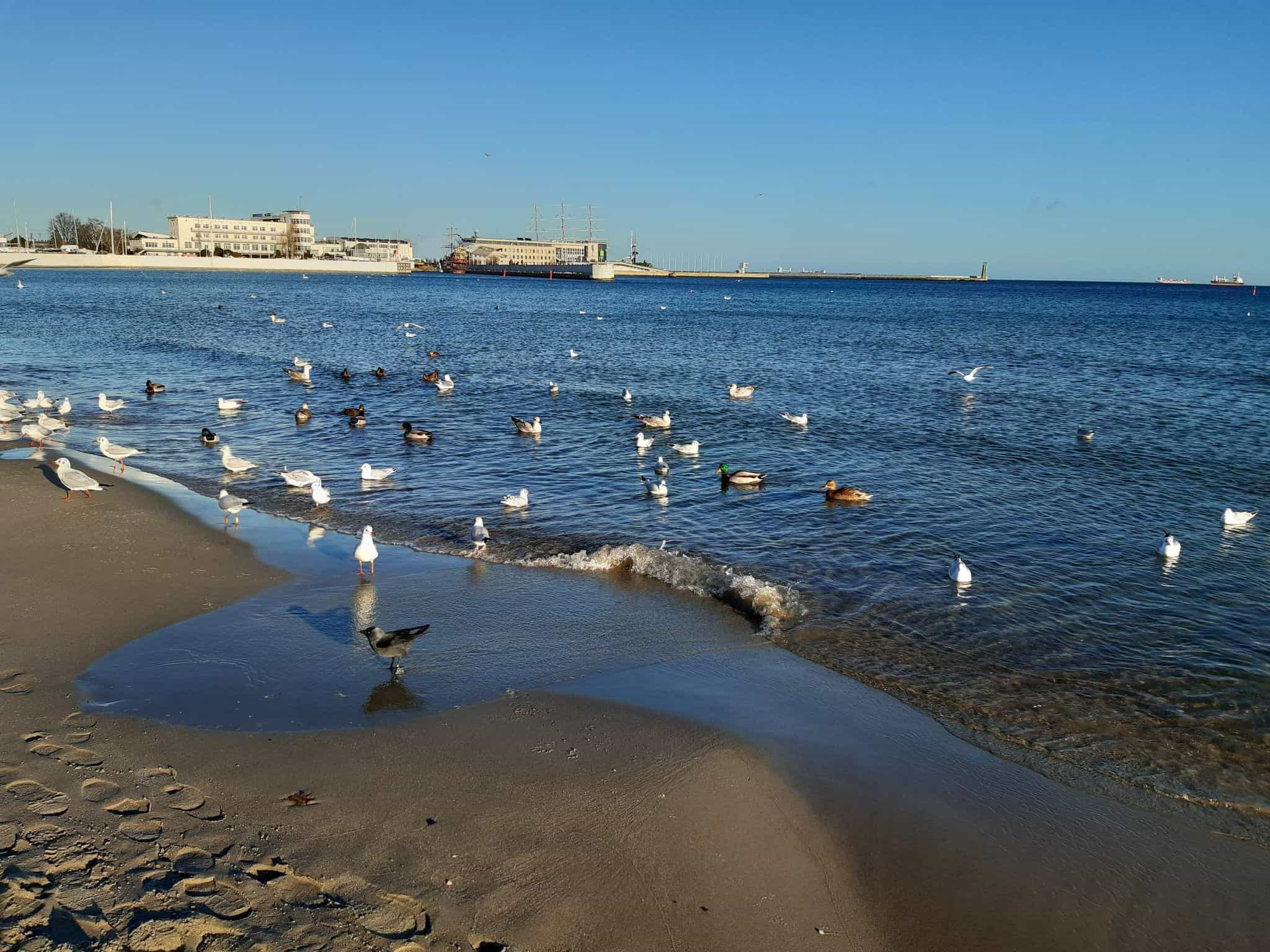 https://mdw-travel-data-us-east-1.s3.amazonaws.com/img/country/Poland/Gdynia-City-Beach/img_03.jpg