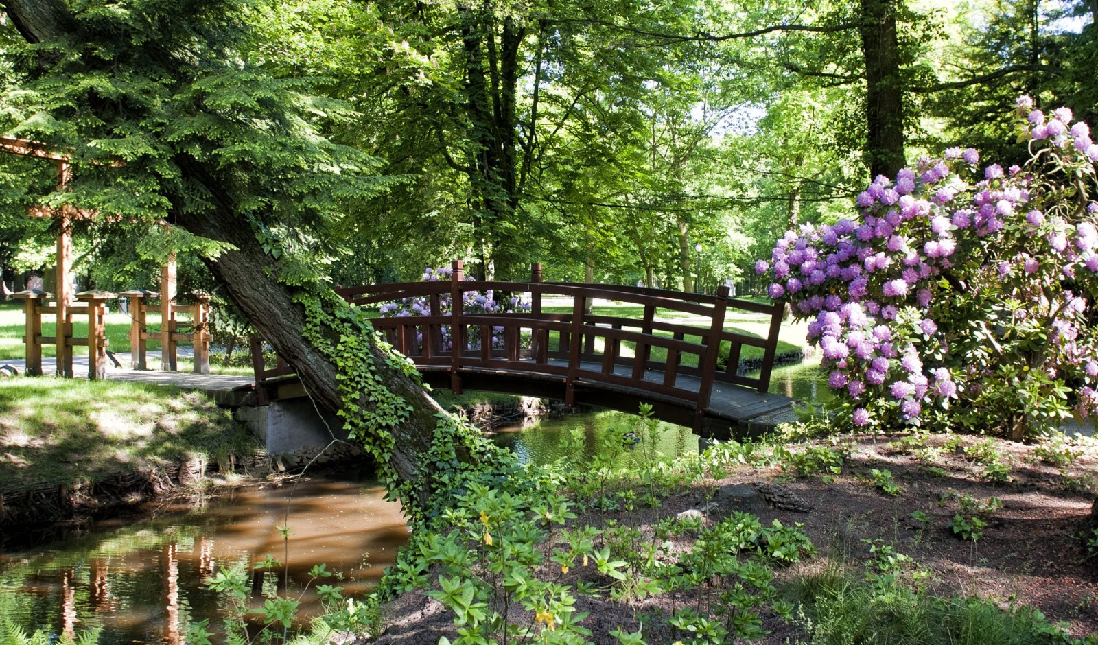 https://mdw-travel-data-us-east-1.s3.amazonaws.com/img/country/Poland/Japanese-Garden-/img_00.jpg