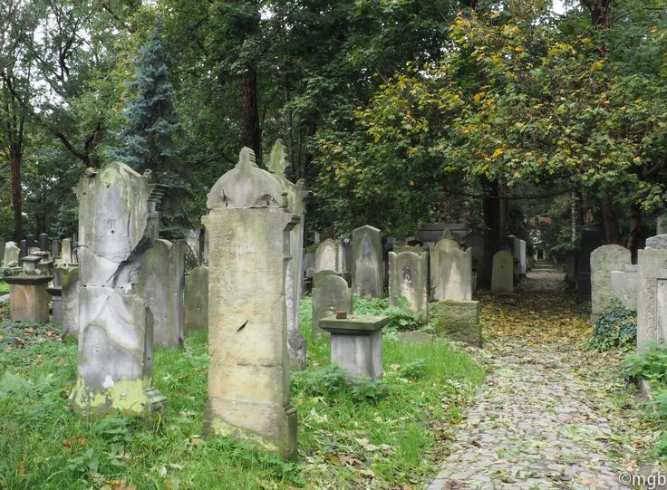 https://mdw-travel-data-us-east-1.s3.amazonaws.com/img/country/Poland/Jewish-Cemetery/img_02.jpg