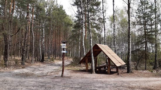 https://mdw-travel-data-us-east-1.s3.amazonaws.com/img/country/Poland/Kampinoski-National-Park/img_02.jpg