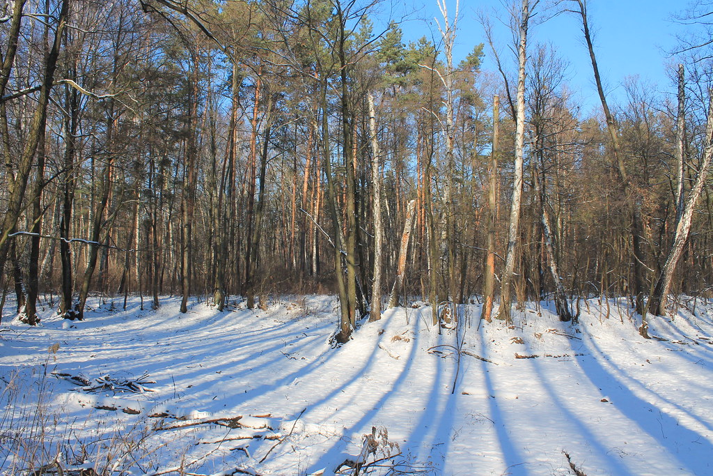 https://mdw-travel-data-us-east-1.s3.amazonaws.com/img/country/Poland/Kampinoski-National-Park/img_03.jpg