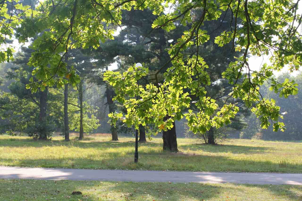https://mdw-travel-data-us-east-1.s3.amazonaws.com/img/country/Poland/Katowice-Forest-Park---Valley-of-Three-Ponds/img_01.jpg