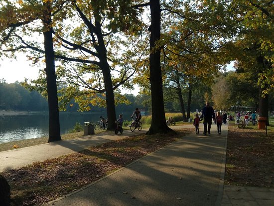 https://mdw-travel-data-us-east-1.s3.amazonaws.com/img/country/Poland/Lagiewniki-Park/img_02.jpg