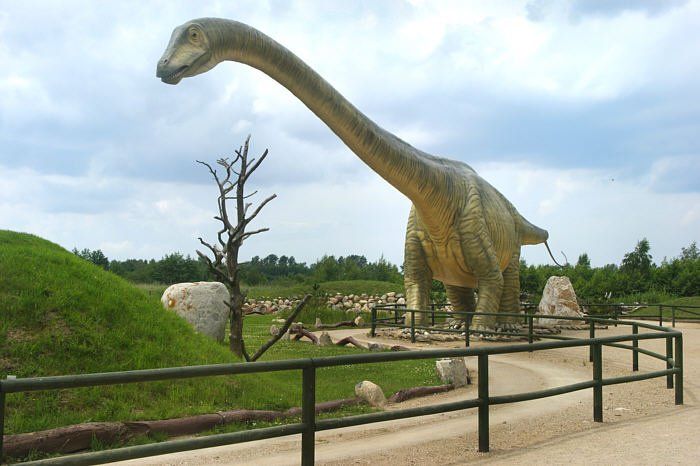 https://mdw-travel-data-us-east-1.s3.amazonaws.com/img/country/Poland/Leba-Park/img_01.jpg