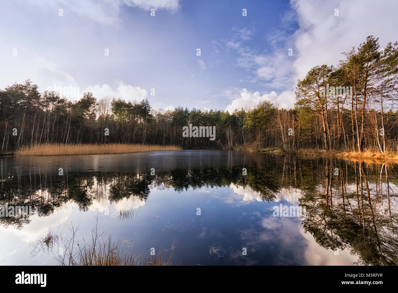 https://mdw-travel-data-us-east-1.s3.amazonaws.com/img/country/Poland/Mazovian-Landscape-Park/img_01.jpg