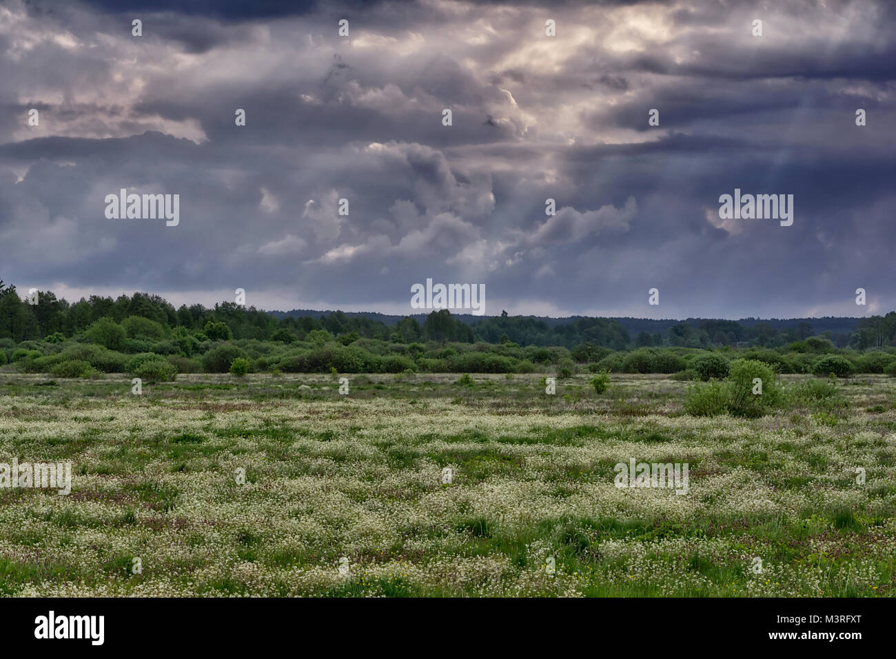 https://mdw-travel-data-us-east-1.s3.amazonaws.com/img/country/Poland/Mazovian-Landscape-Park/img_02.jpg