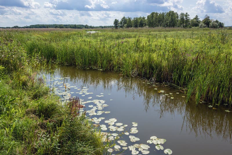 https://mdw-travel-data-us-east-1.s3.amazonaws.com/img/country/Poland/Narew-National-Park/img_01.jpg