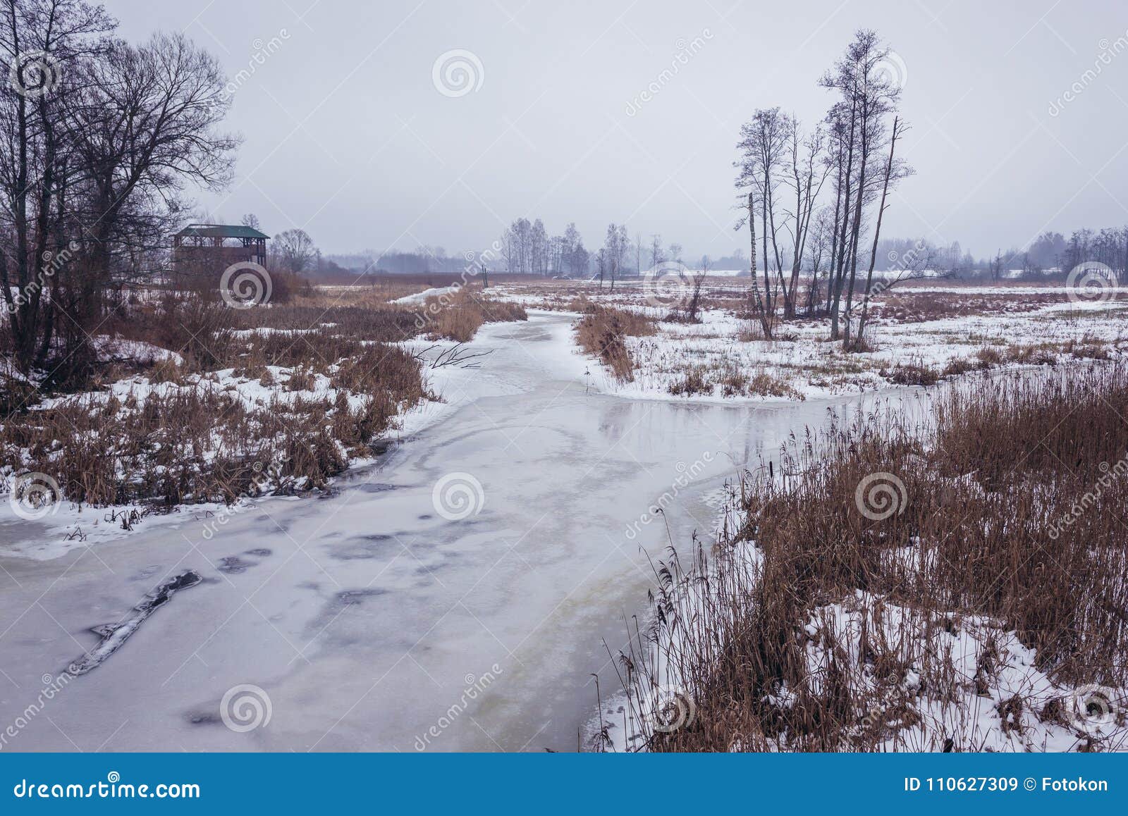 https://mdw-travel-data-us-east-1.s3.amazonaws.com/img/country/Poland/Narewka-River/img_03.jpg
