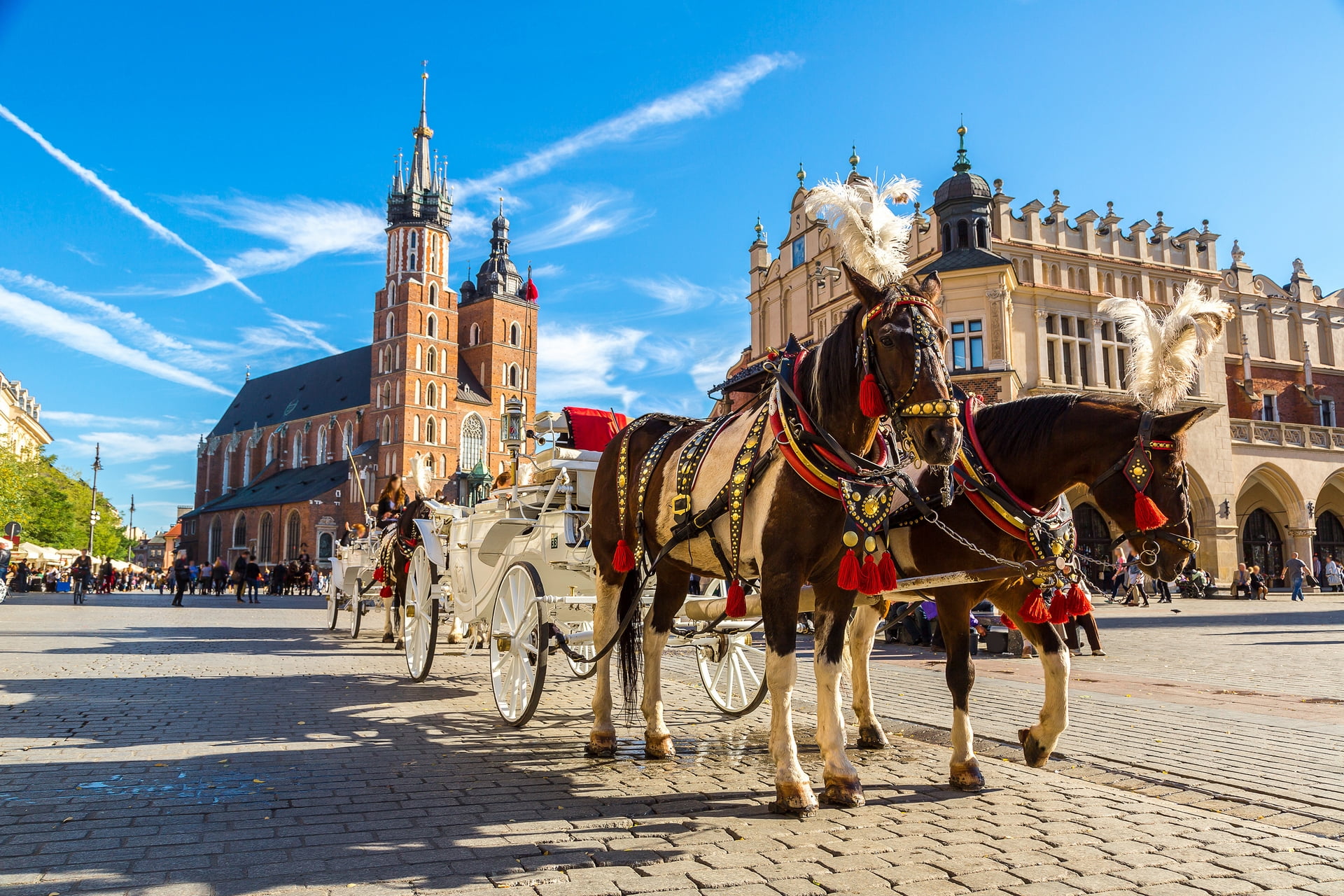 https://mdw-travel-data-us-east-1.s3.amazonaws.com/img/country/Poland/Opener-Festival/img_01.jpg