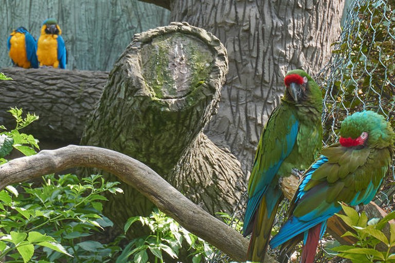 https://mdw-travel-data-us-east-1.s3.amazonaws.com/img/country/Poland/Opole-Zoo/img_01.jpg