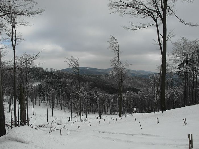 https://mdw-travel-data-us-east-1.s3.amazonaws.com/img/country/Poland/Owl-Mountains/img_03.jpg