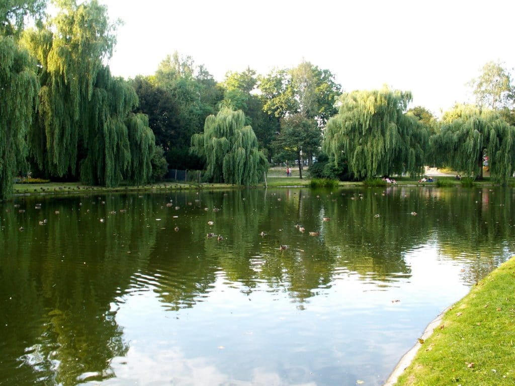 https://mdw-travel-data-us-east-1.s3.amazonaws.com/img/country/Poland/Park-im-Stanislawa-Staszica/img_03.jpg