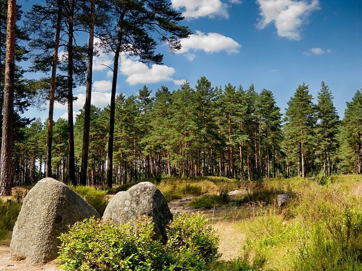 https://mdw-travel-data-us-east-1.s3.amazonaws.com/img/country/Poland/Pogorze-Przemyskie-Landscape-Park/img_01.jpg