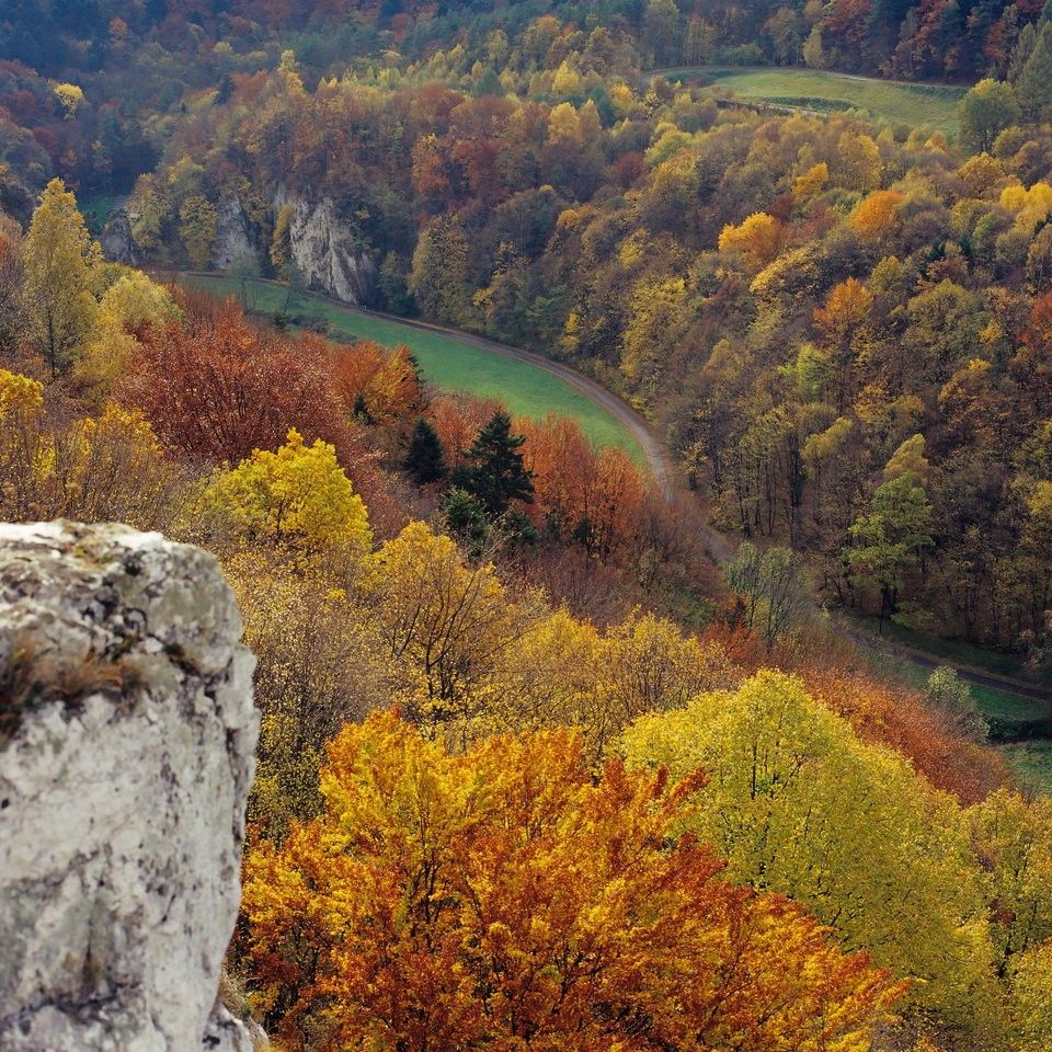 https://mdw-travel-data-us-east-1.s3.amazonaws.com/img/country/Poland/Pogorze-Przemyskie-Landscape-Park/img_04.jpg
