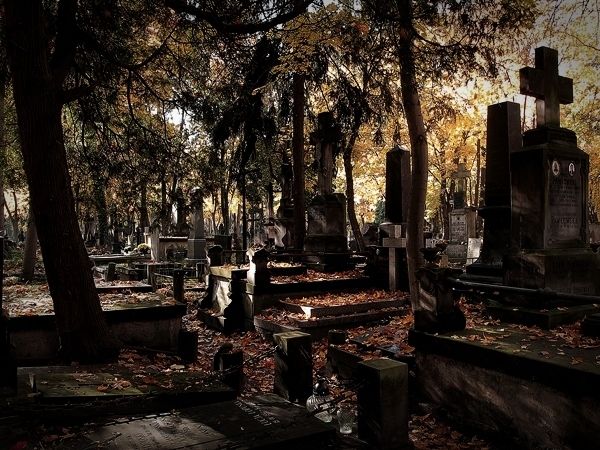https://mdw-travel-data-us-east-1.s3.amazonaws.com/img/country/Poland/Powazki-Cemetery/img_02.jpg