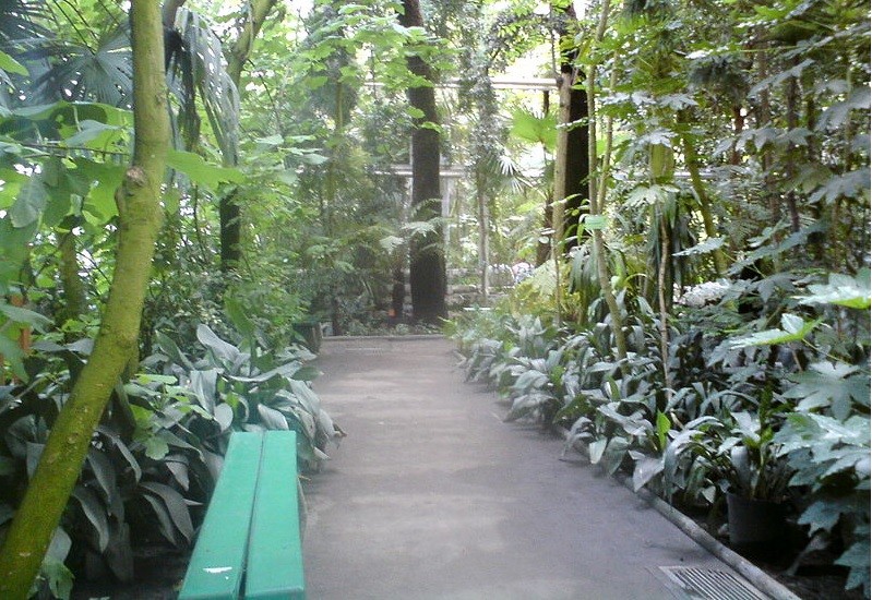 https://mdw-travel-data-us-east-1.s3.amazonaws.com/img/country/Poland/Poznan-Palm-House/img_02.jpg