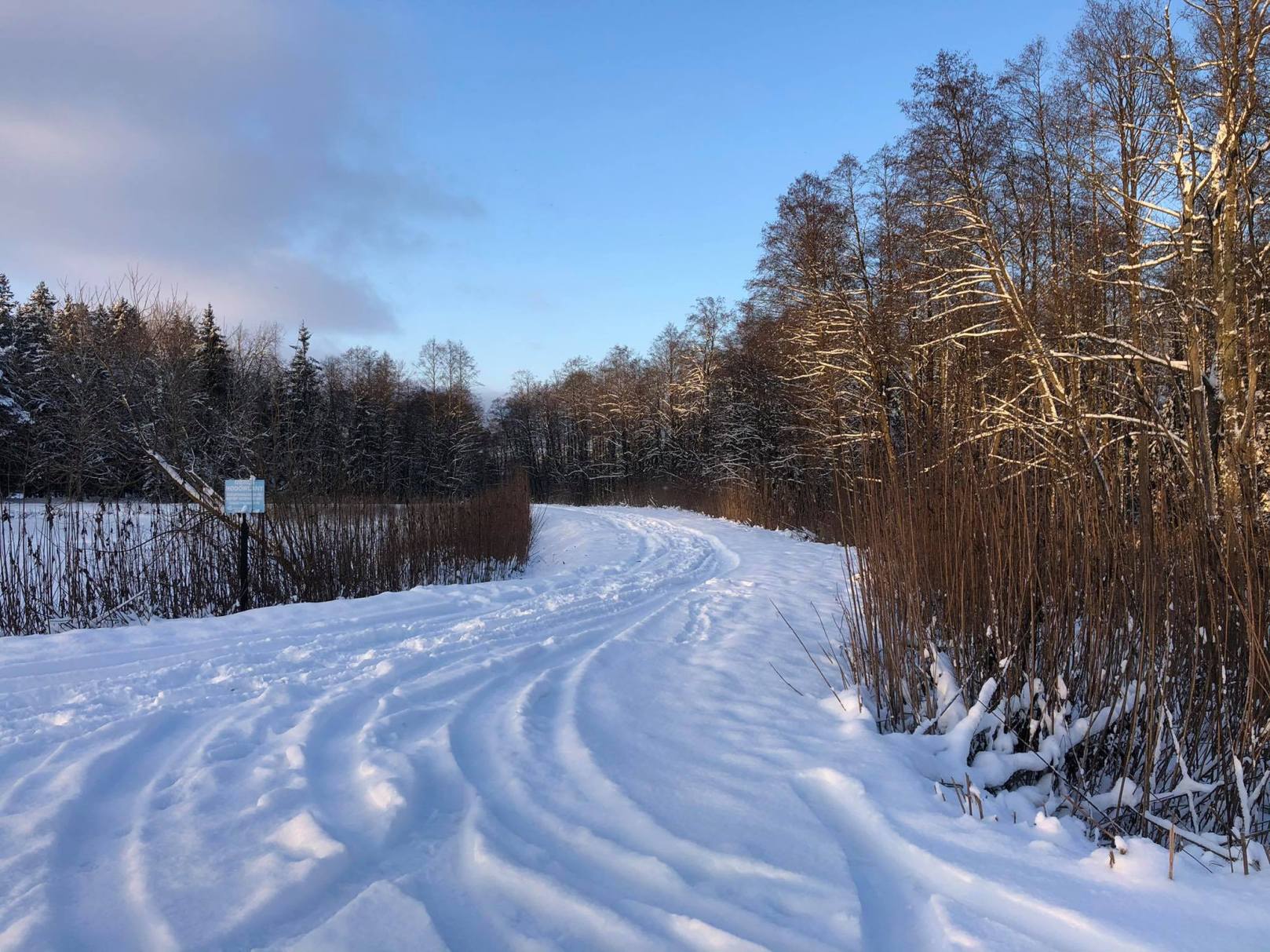 https://mdw-travel-data-us-east-1.s3.amazonaws.com/img/country/Poland/Puszcza-Knyszynska-Forest/img_02.jpg