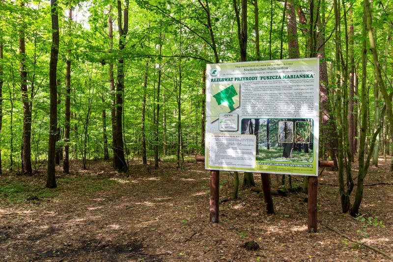 https://mdw-travel-data-us-east-1.s3.amazonaws.com/img/country/Poland/Puszcza-Knyszynska-Forest/img_03.jpg