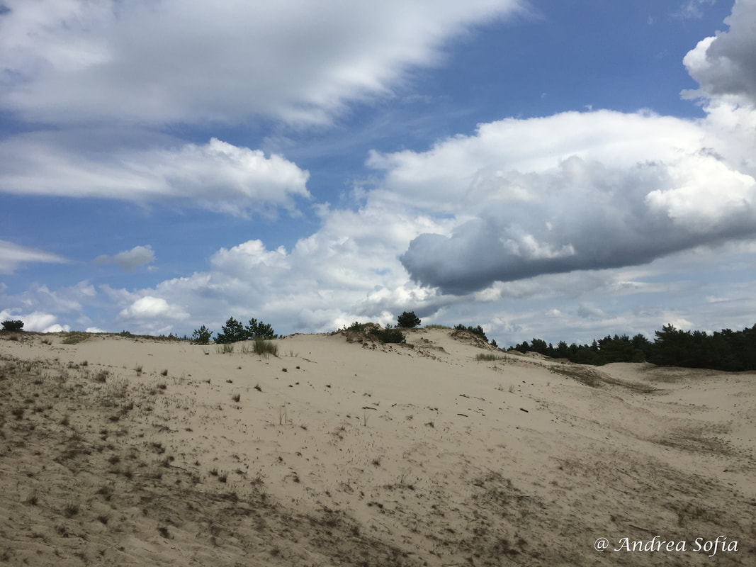 https://mdw-travel-data-us-east-1.s3.amazonaws.com/img/country/Poland/Slowinski-National-Park/img_04.jpg