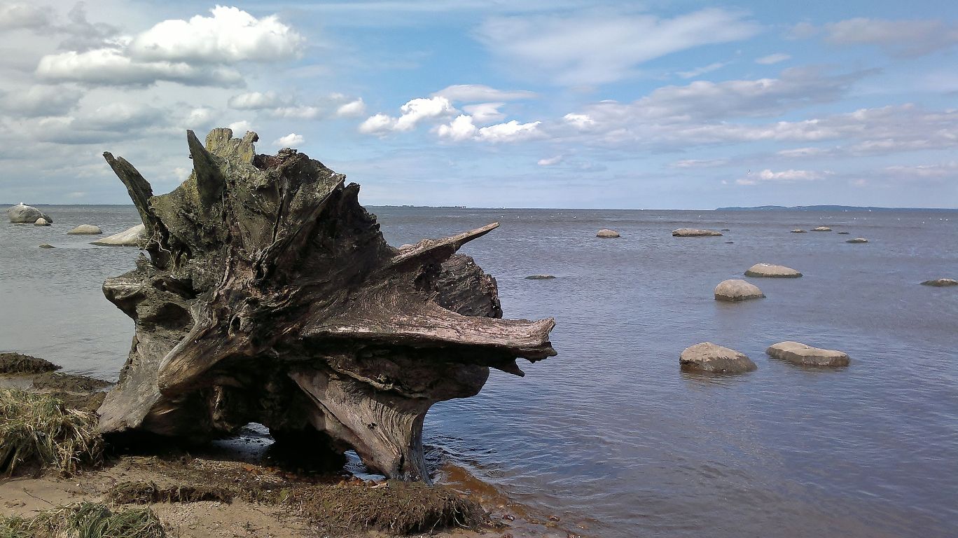 https://mdw-travel-data-us-east-1.s3.amazonaws.com/img/country/Poland/Szczecin-Lagoon/img_02.jpg