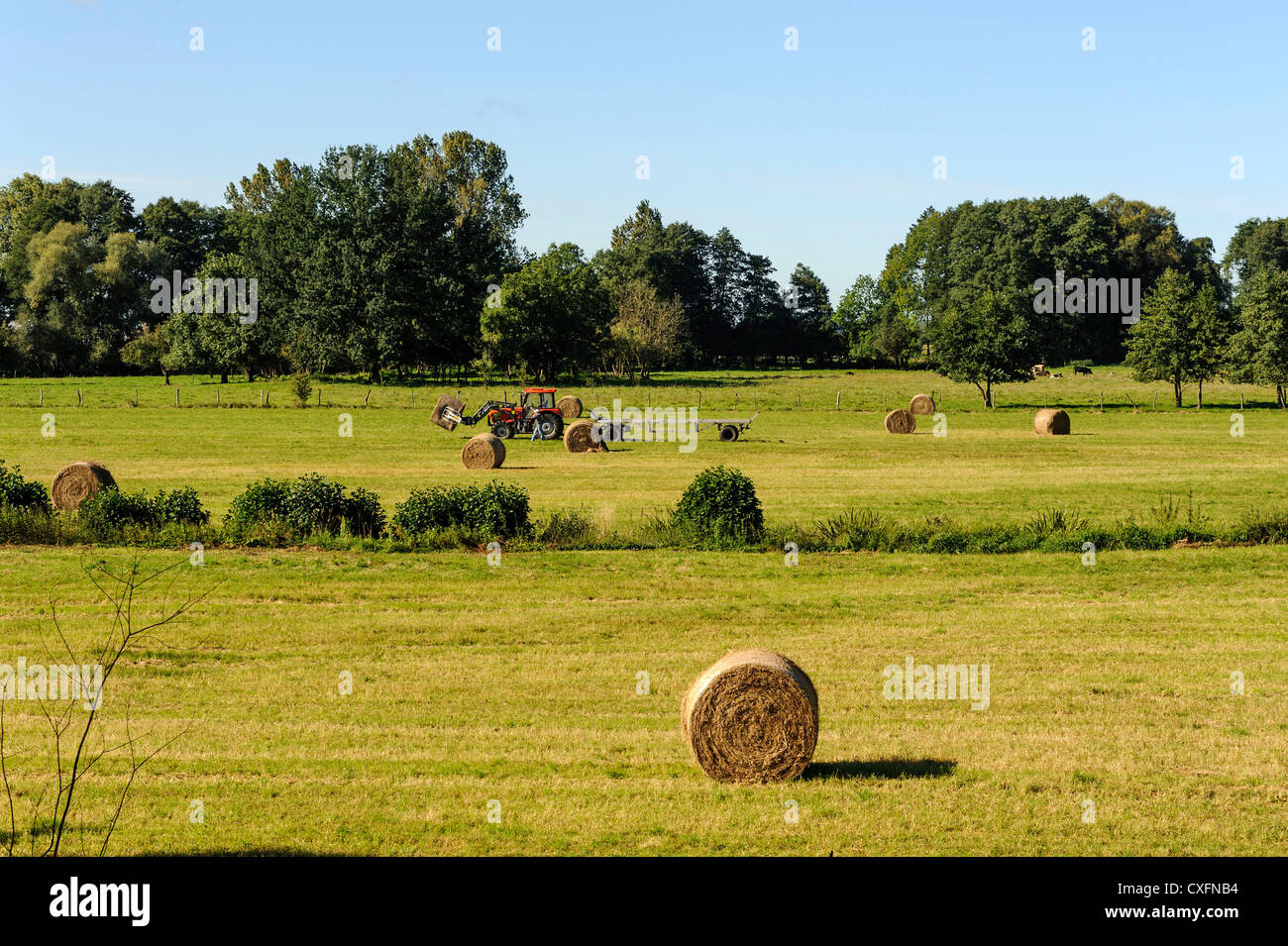 https://mdw-travel-data-us-east-1.s3.amazonaws.com/img/country/Poland/Ujscie-Warty-National-Park/img_01.jpg
