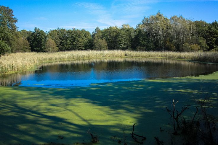 https://mdw-travel-data-us-east-1.s3.amazonaws.com/img/country/Poland/Wielkopolski-National-Park/img_03.jpg