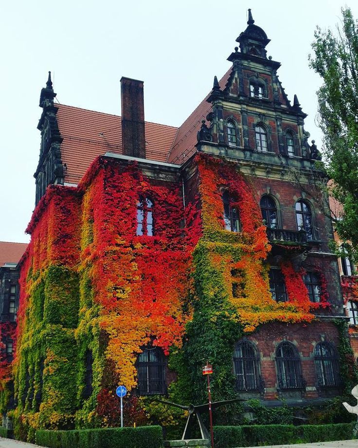 https://mdw-travel-data-us-east-1.s3.amazonaws.com/img/country/Poland/Wroclaw-City-Museum/img_02.jpg