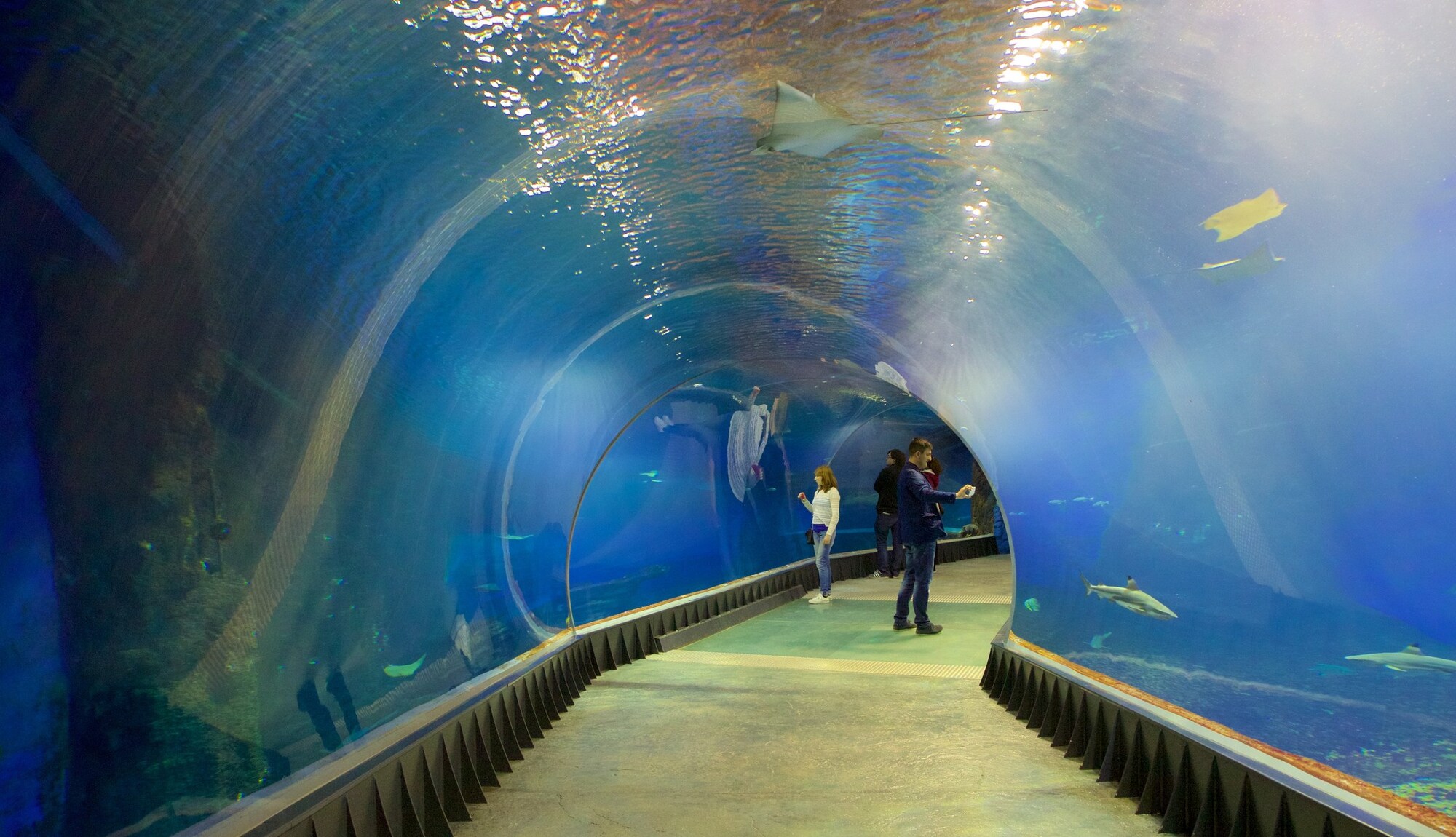 https://mdw-travel-data-us-east-1.s3.amazonaws.com/img/country/Poland/Wroclaw-Zoo/img_02.jpg
