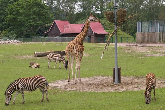 https://mdw-travel-data-us-east-1.s3.amazonaws.com/img/country/Poland/Zoo-Gdansk-Oliwa/img_00.jpg