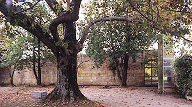 https://mdw-travel-data-us-east-1.s3.amazonaws.com/img/country/Portugal/Casa-das-Artes/img_00.jpg