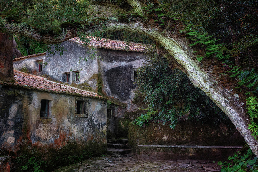 https://mdw-travel-data-us-east-1.s3.amazonaws.com/img/country/Portugal/Convent-of-the-Capuchos/img_00.jpg