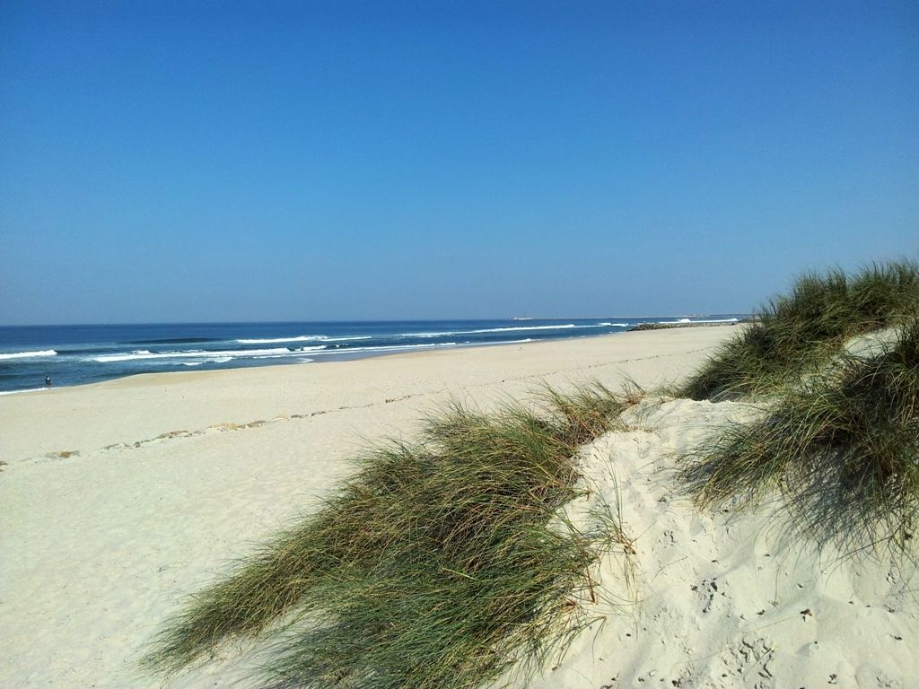 https://mdw-travel-data-us-east-1.s3.amazonaws.com/img/country/Portugal/Costa-Nova-Beach/img_02.jpg