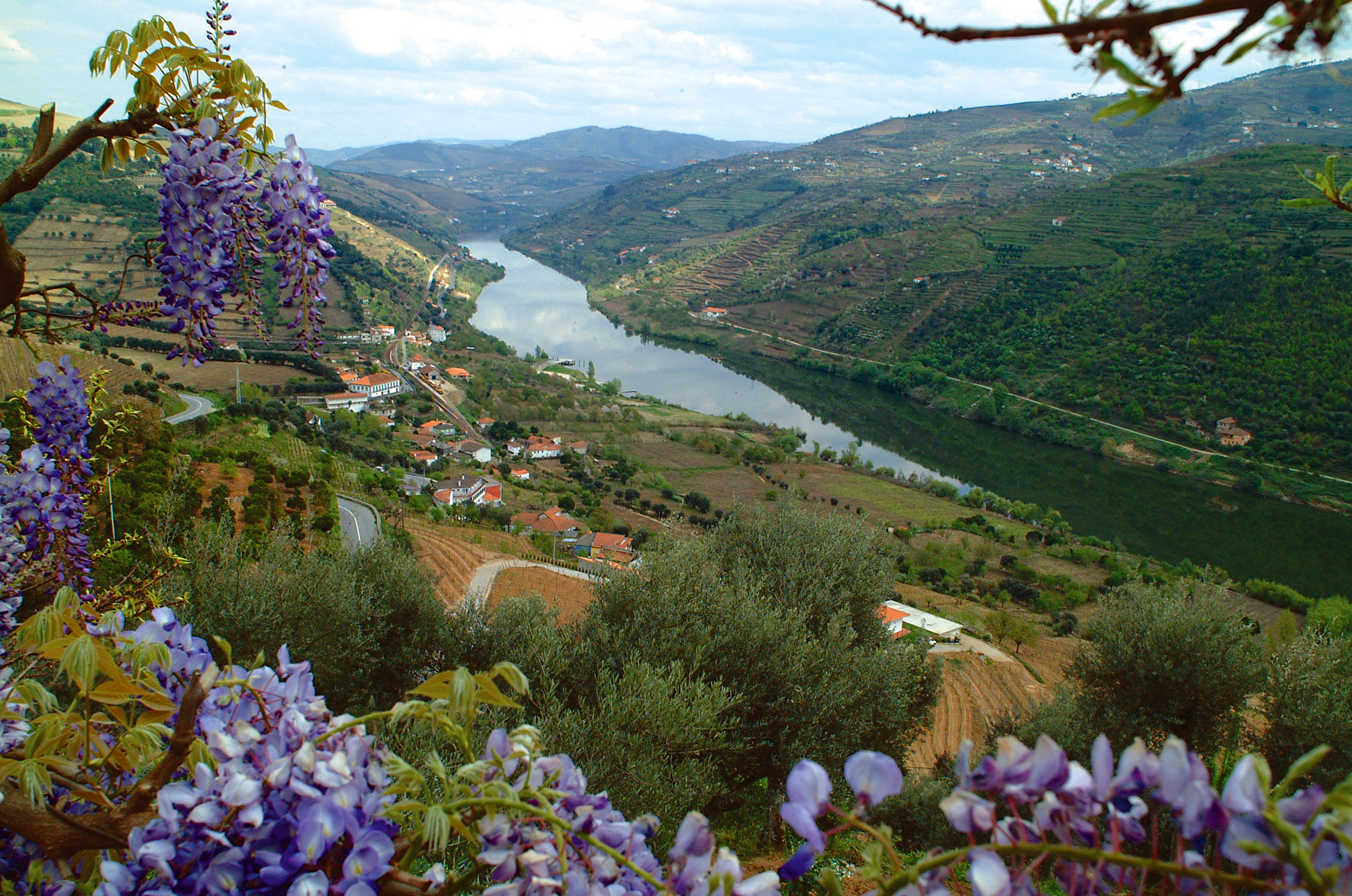 https://mdw-travel-data-us-east-1.s3.amazonaws.com/img/country/Portugal/Douro-River/img_02.jpg