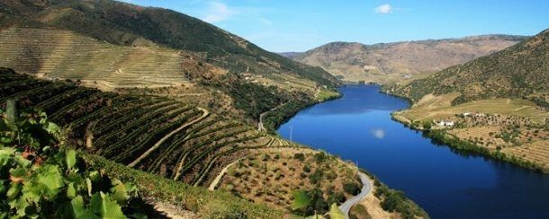 https://mdw-travel-data-us-east-1.s3.amazonaws.com/img/country/Portugal/Douro-River/img_05.jpg