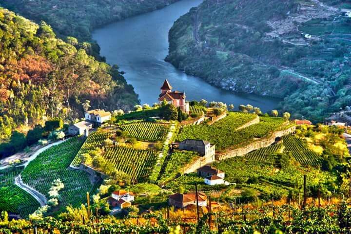 https://mdw-travel-data-us-east-1.s3.amazonaws.com/img/country/Portugal/Douro-Valley/img_03.jpg
