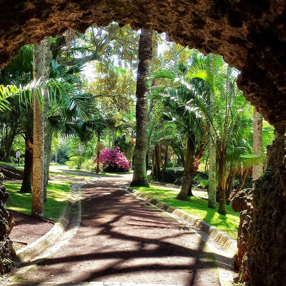 https://mdw-travel-data-us-east-1.s3.amazonaws.com/img/country/Portugal/Jardim-Antonio-Borges/img_01.jpg